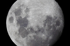 P1290087 crop