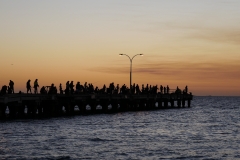 P1480158 crop 1366