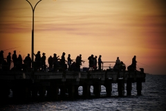 P1480167 crop 1366