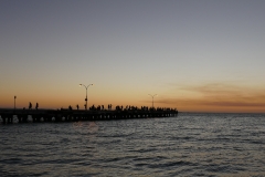 P1480184 crop 1366