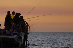 P1480312 crop 1366