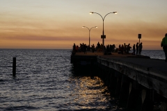 P1480366 crop 1366