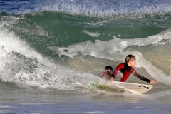 _1420688 crop 1366