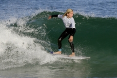 _1420708 crop 1366