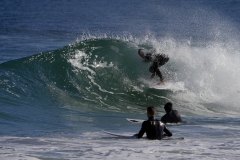 _1430149 crop 1366