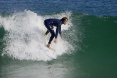 _1430204 crop 1366
