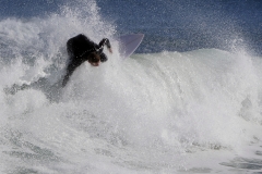 _1430226 crop 1366