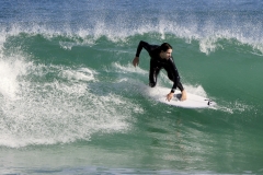 _1430432 crop 1366