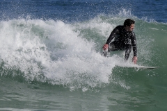 _1430459 crop 1366