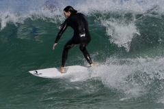 _1430502 crop 1366
