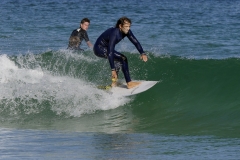 _1430523 crop 1366