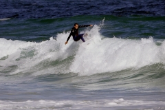 _1450721 crop 1080