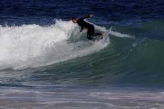 _1450759 crop 1080