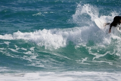 _1460157 crop 1080