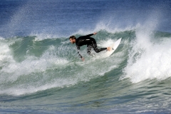 _1360328 crop 1366