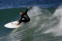 _1360547 crop 1366