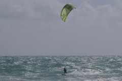 P1840814 crop scale
