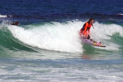 P1950929 crop