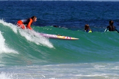 P1960038 crop